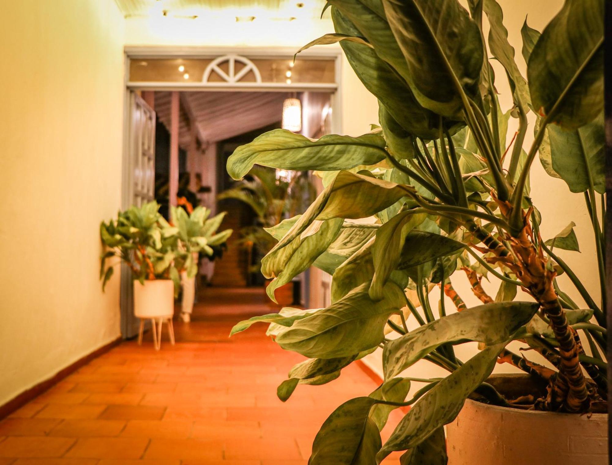 Aura Hotel Parque Barichara By Infinity Exterior foto